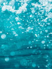 넥서스 깨면서 GG