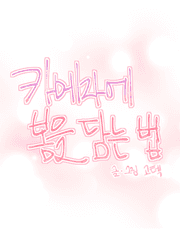 카메라에 봄을 담는 법