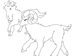 늑대와 함께 춤을 (완)