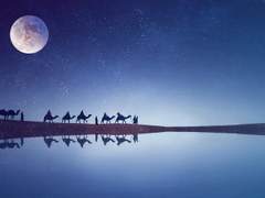 [지우와론] Silk Road