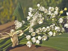 틀림없이 행복해지기를 바랬다는 걸 알까.