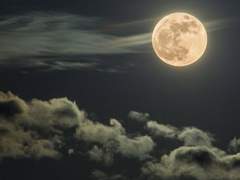 무한궤도(無限軌道)