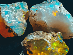 [자크콜사] - 비가 그친 후