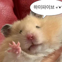 사육사의고릴라