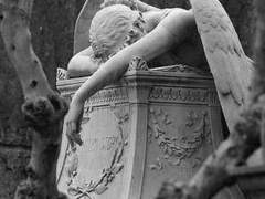 네 모든 것이 거짓이라는 건