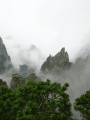 [호열백호] 천앵난무