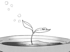 부서지지 않는 방패