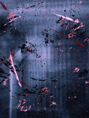 사건파일 013. 유성동 여성 살인사건