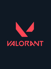 The Valorant : DLT 공지