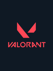 The Valorant : DLT 박제
