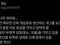 변신 개상호 백업