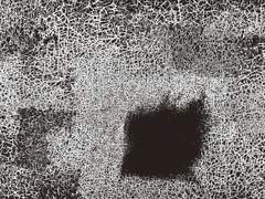 [12] boris - präparat