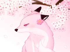 벚꽃 여우 모음집🌸