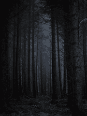 악순환(恶性循环)