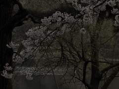 관계의 고리 (1)