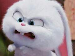 뼈테로함락프로젝톡 2