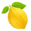 LEMON레몬
