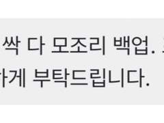 화산귀환 그림 백업