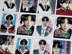 아니메 양짱 카드캡터체리 파일 공유