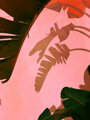 토깽이의 단편 모음집