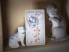 이번 주의 카드: Ace of Wands reversed