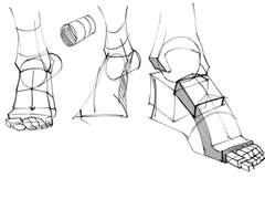 2023년 4월 22일 (토) <해부학>