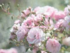 오타쿠 명절 커미션