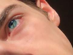 수인 세계관에서 하여자 해파리 수인으로 살아남기