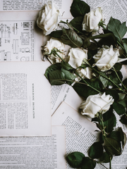 꽃이 피는 날엔