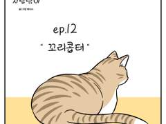 🐱우리집 지랄냥이 : 12화🐱