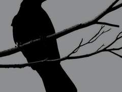 네버렌드로 떠나자