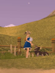 마비노기 뉴비일지