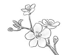 [덕규대협] Unforgettable 1