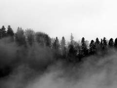 인생이 방황이다 (Side-B)