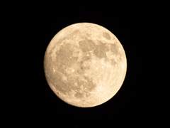 [호열백호] 태양계