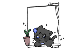 지웅 창가 고양이 배경화면 공유