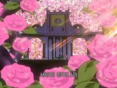 무언가를 사랑할 때 내가 어쩔 수 없이 선택하는 방법