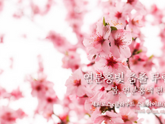 연분홍빛 춤출 무렵 : 봄