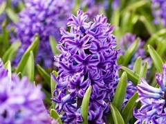 위험한 연애를 시작해 버렸어요...! 07