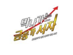 [타이포디자인] 막나가는 금융가 서자