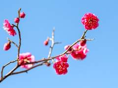 머리를 써보자!