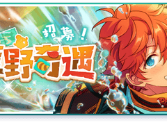 와일드 판타지 오픈