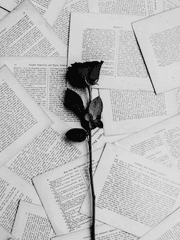 [논술] 대본 분석