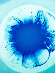 그 센티넬이 혐오받는 이유는