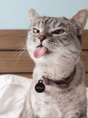 빛나는 못말려 TALK