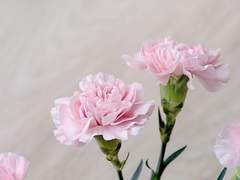 웨더비ㅣ33ㅣXYㅣ중앙2