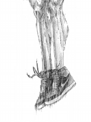 SLAM DUNK 말랑이들