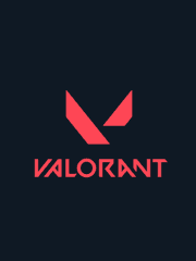 The Valorant : DLT 그림