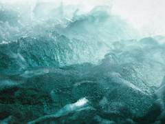 백로는 보았다.