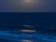 바다는 비우러 가는 것이다